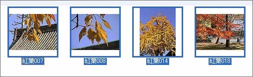 �I�������������̉摜���ׂ荇���Ă���Ƃ��́AShift �L�[ + �N���b�N�B