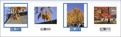 �I�������������̉摜������Ă���Ƃ��́ACtrl �L�[ + �N���b�N�B