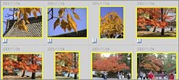 �摜�I��